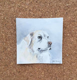 Custom 4x4 Pet Portrait