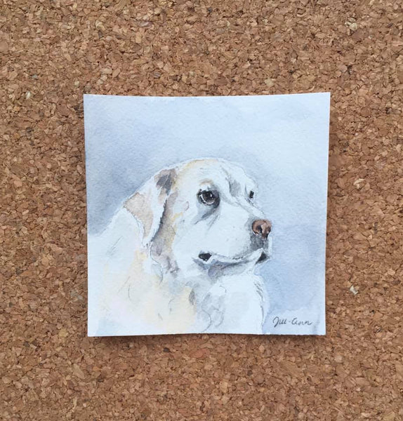 Custom 4x4 Pet Portrait