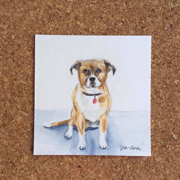 Custom 4x4 Pet Portrait